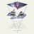 mt5_bam_fr_news